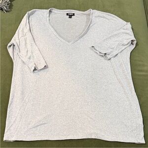 Express Light Gray V-Neck Tee
